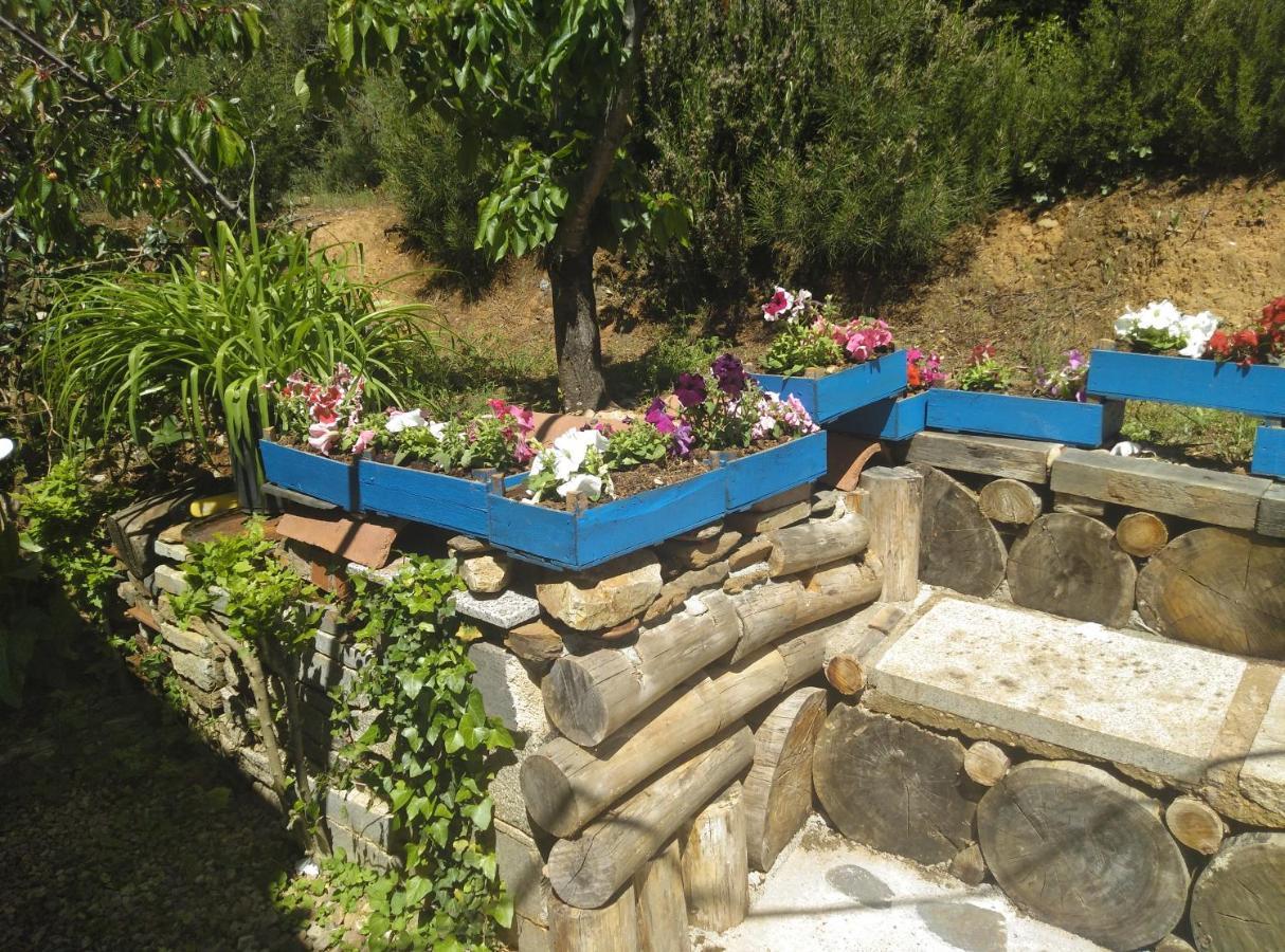 Casa Rural El Arroyo Sotoserrano ภายนอก รูปภาพ