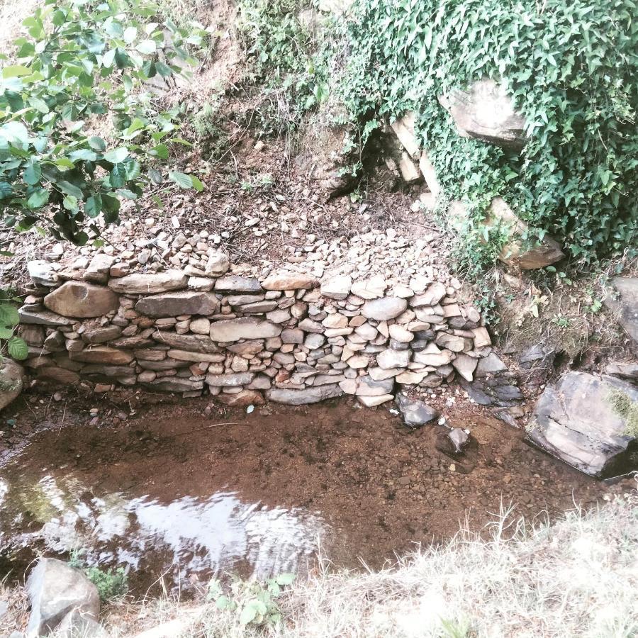 Casa Rural El Arroyo Sotoserrano ภายนอก รูปภาพ