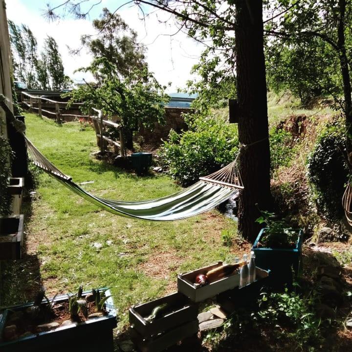 Casa Rural El Arroyo Sotoserrano ภายนอก รูปภาพ